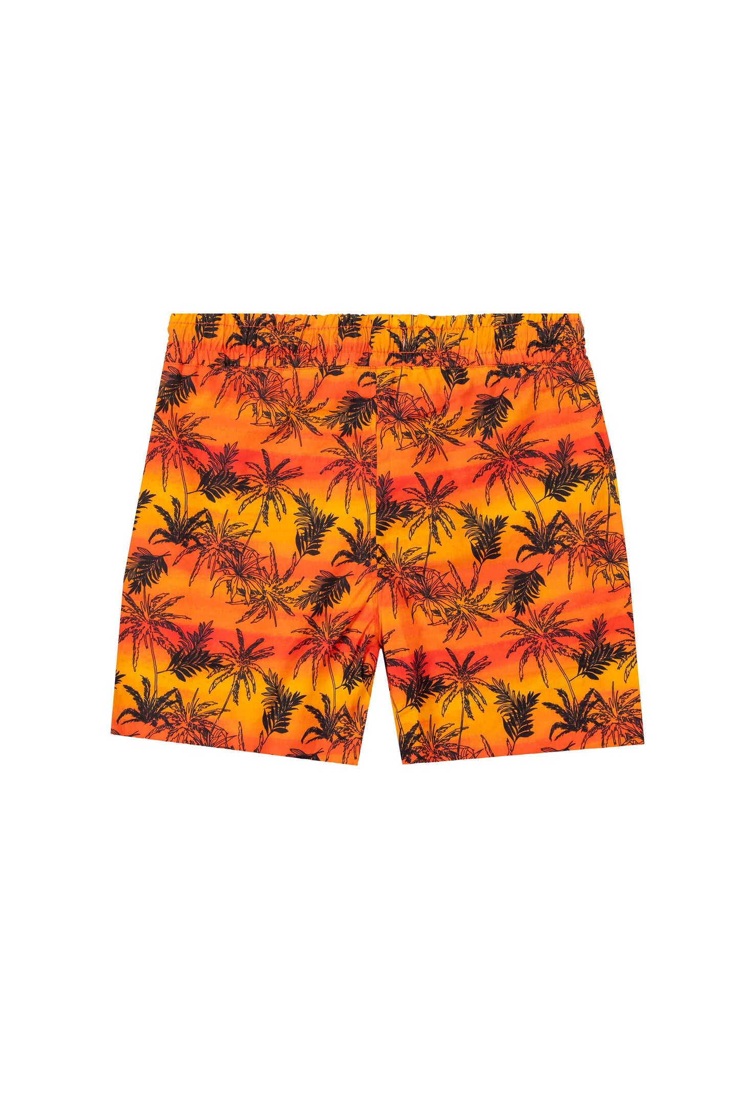Hawaiian shorts Multi