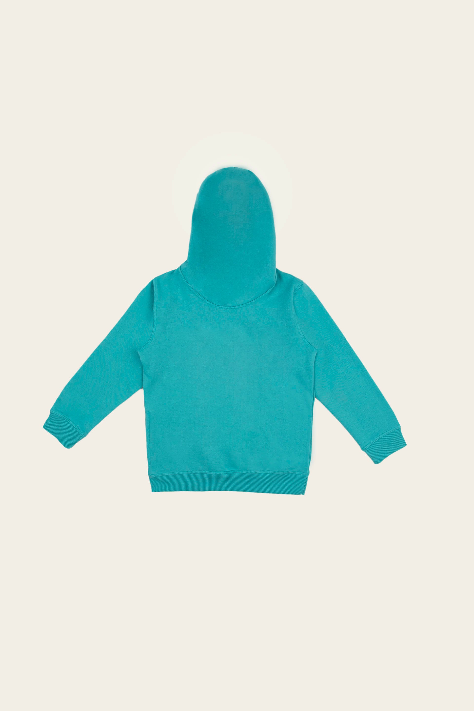 College Pullover Hoodie Blue