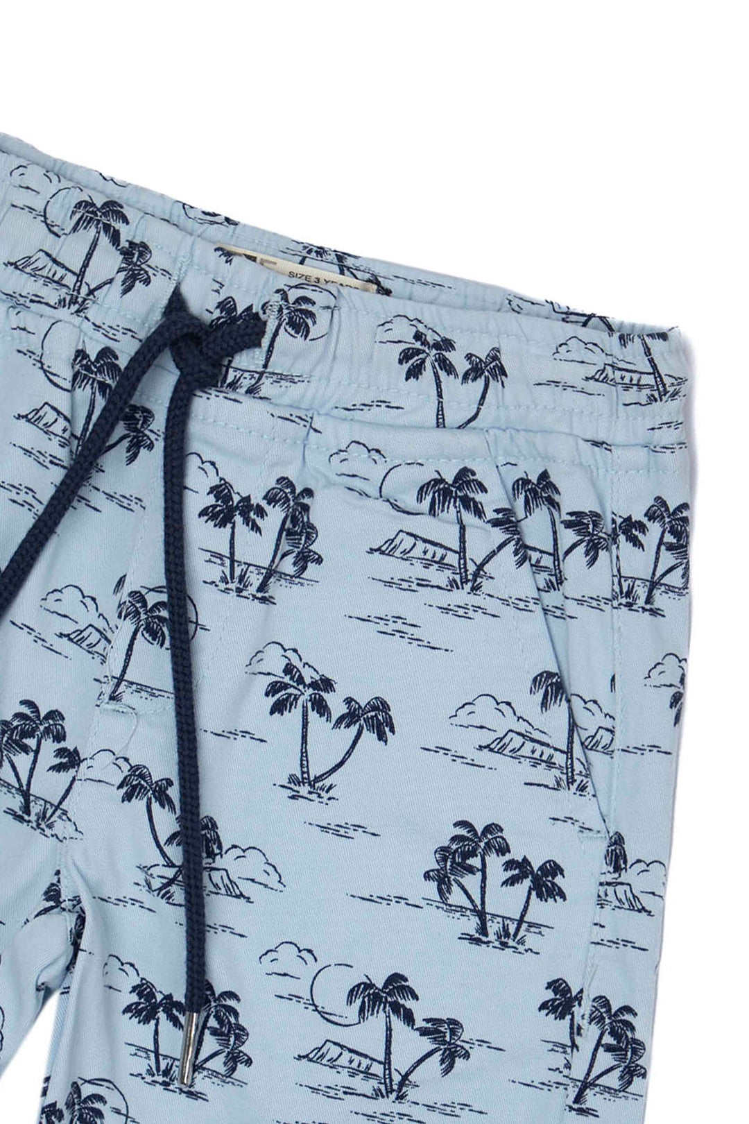 Printed Shorts Blue