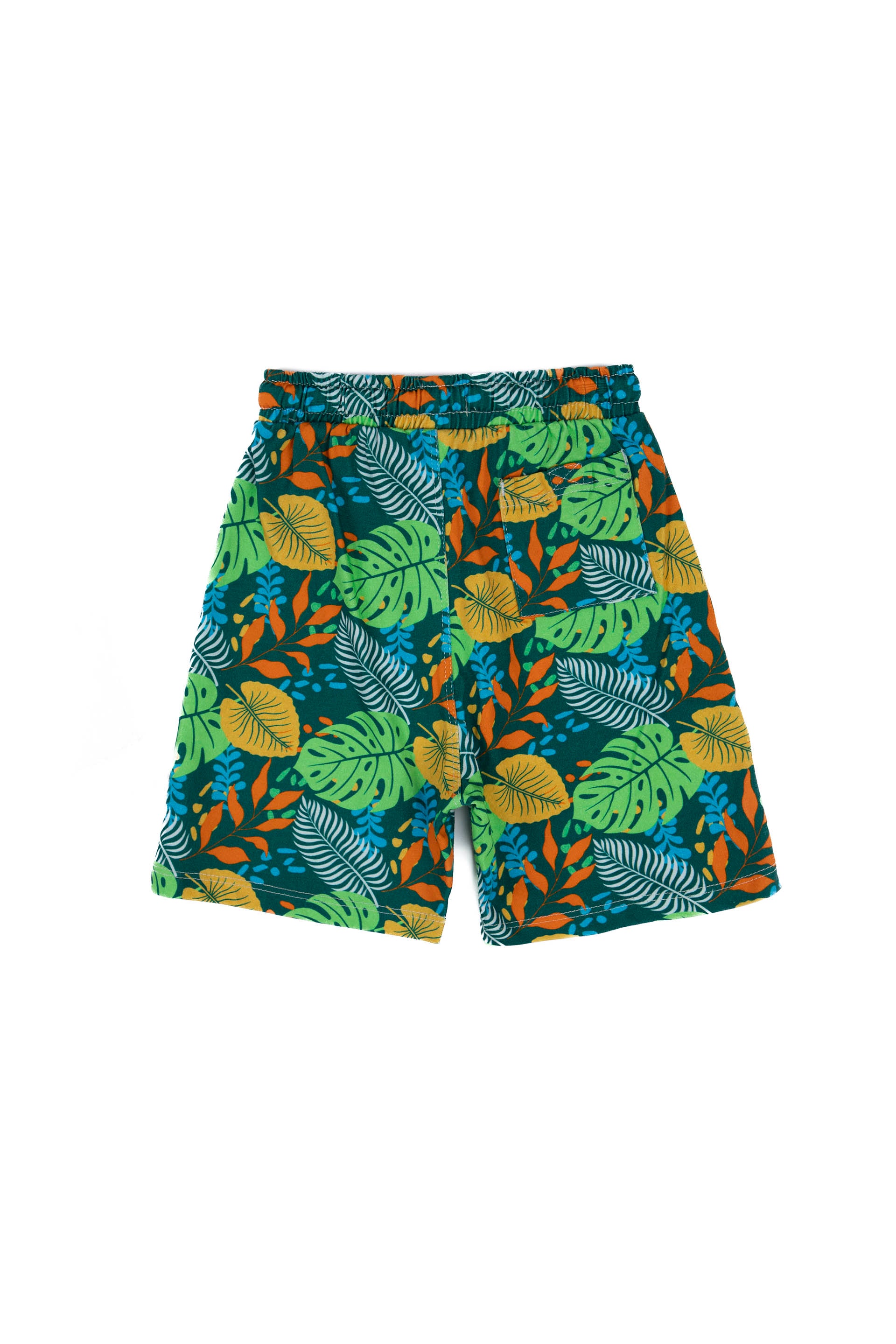 Tropical Shorts Multi
