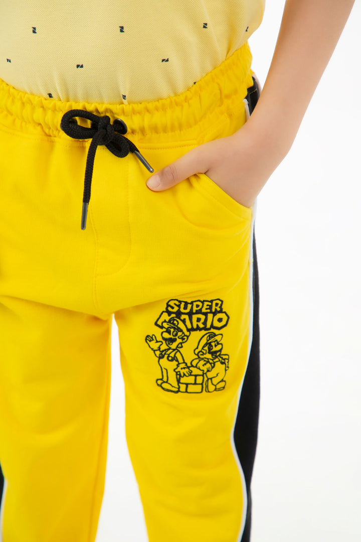 Paneled Trousers