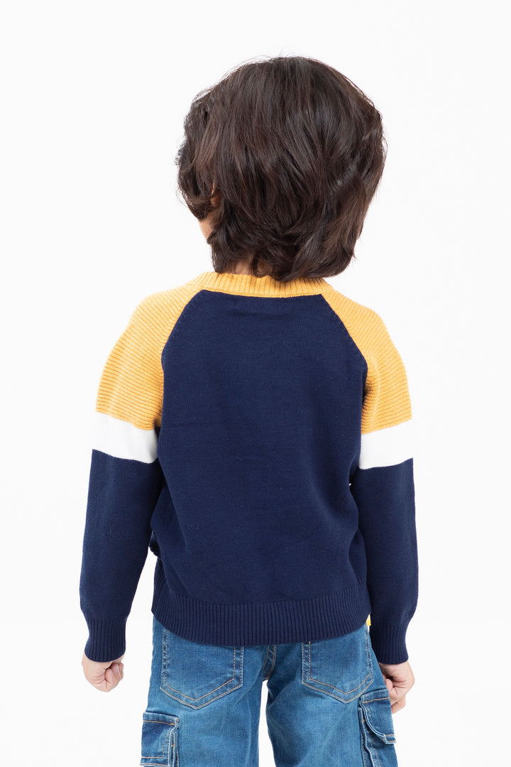 Textured Raglan Sweater