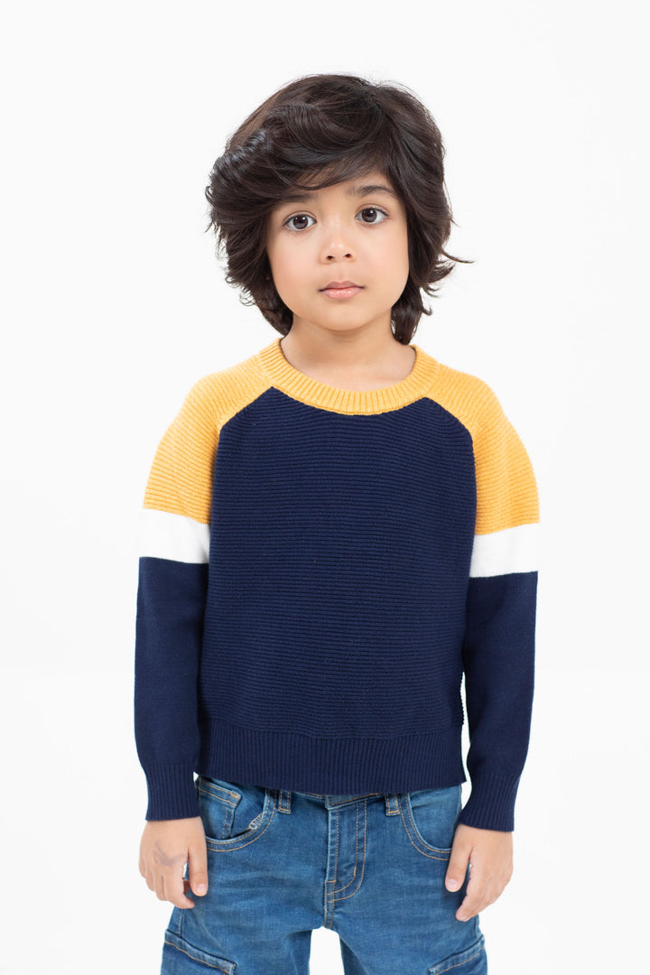 Textured Raglan Sweater