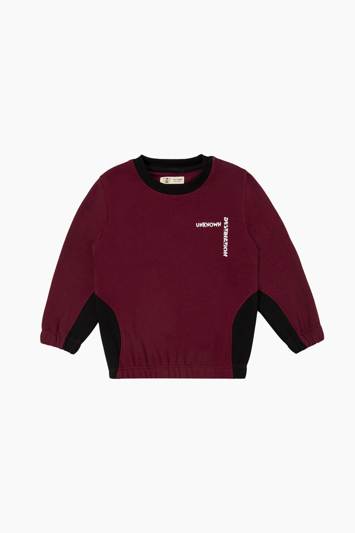 Paneled Sweatshirt