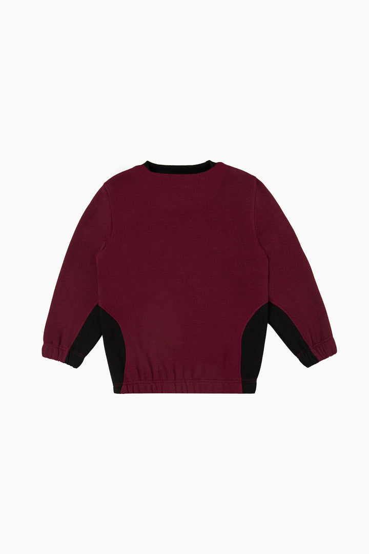 Paneled Sweatshirt