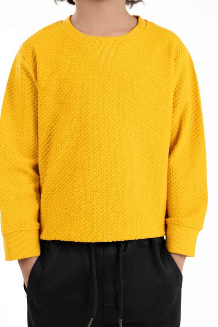 Jacquard Sweatshirt