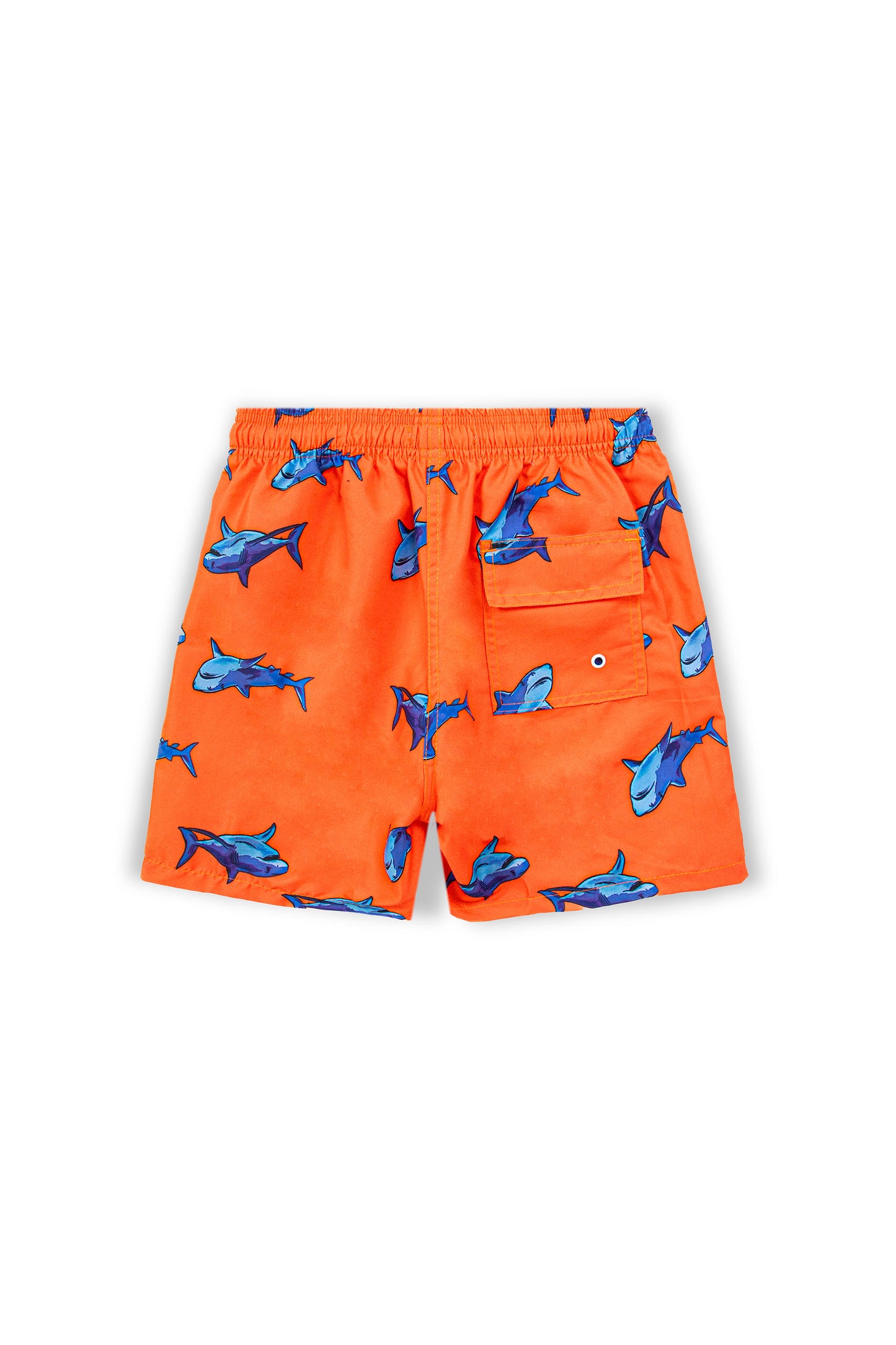 Shark Swim Shorts Orange