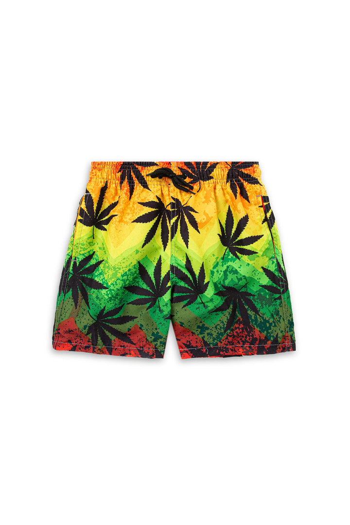 Printed Swim Shorts Multi