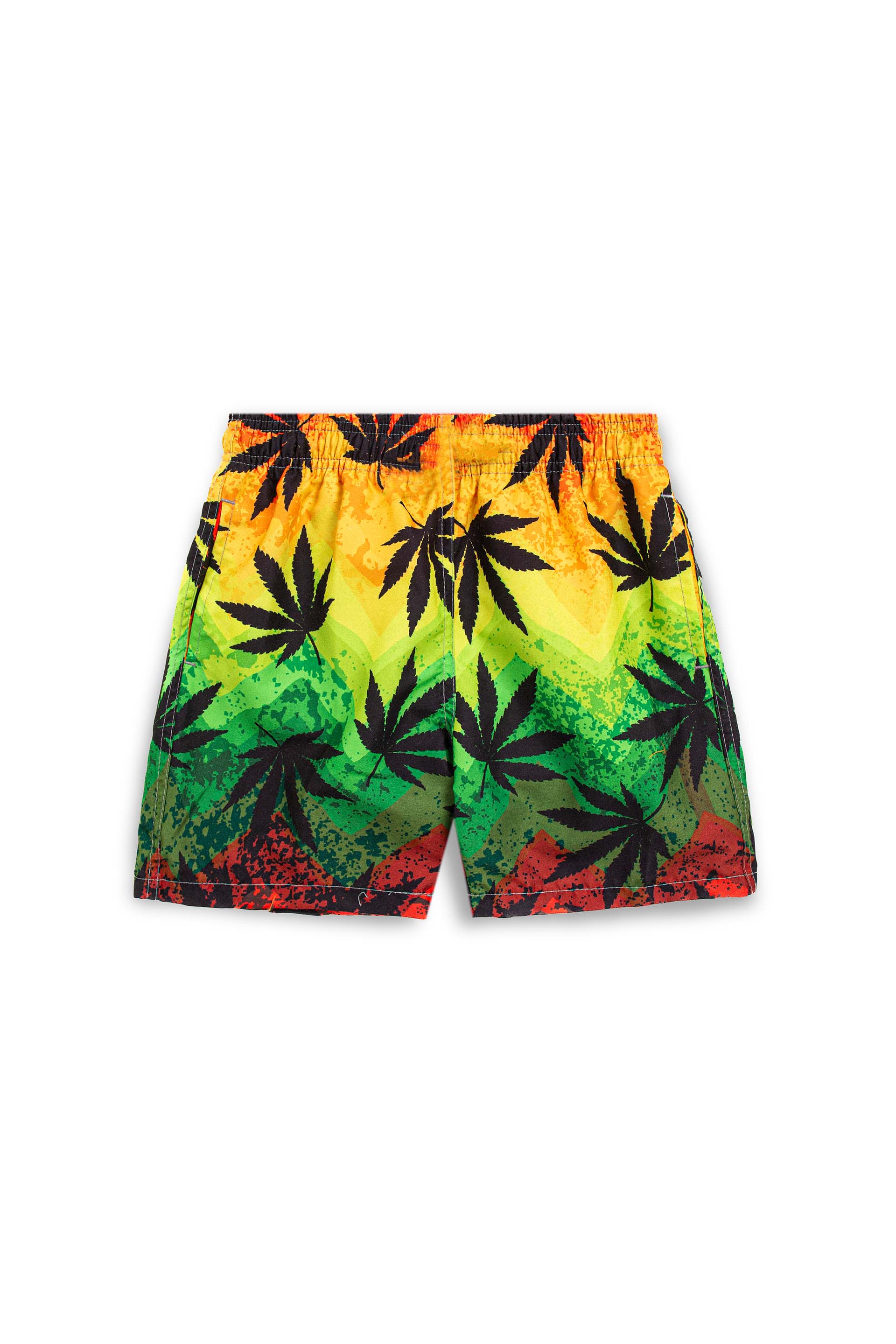 Printed Swim Shorts Multi