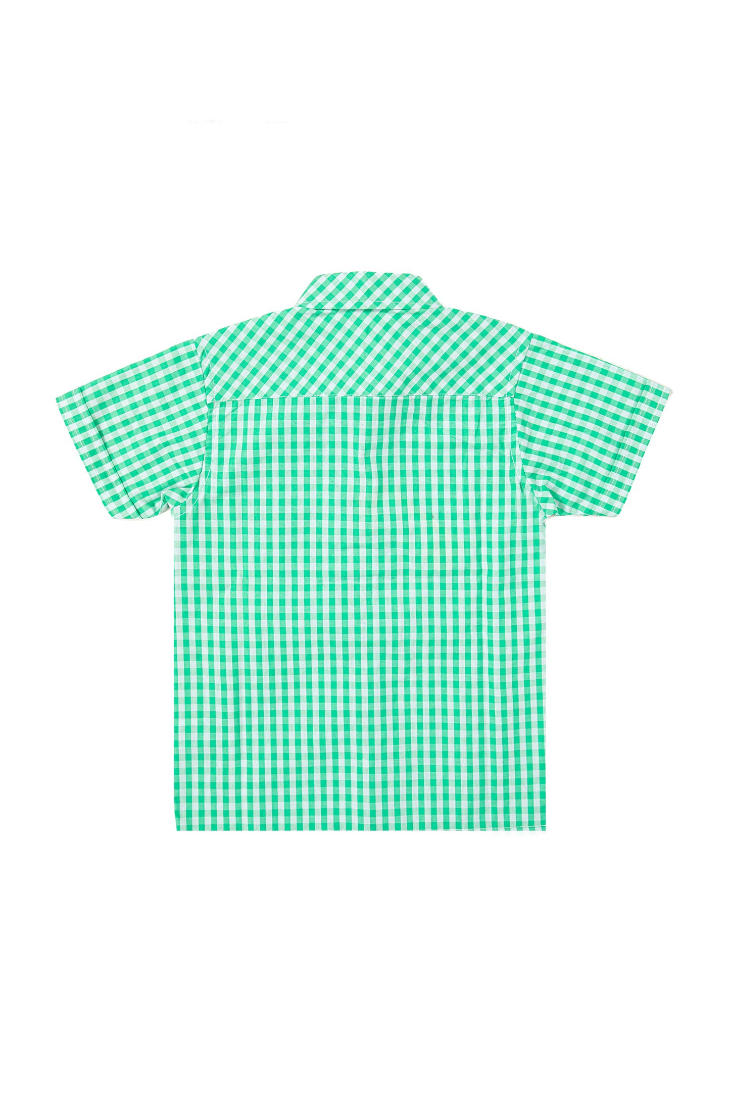 Check Shirt Green