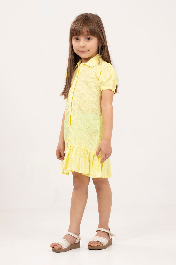 Button Down Dress