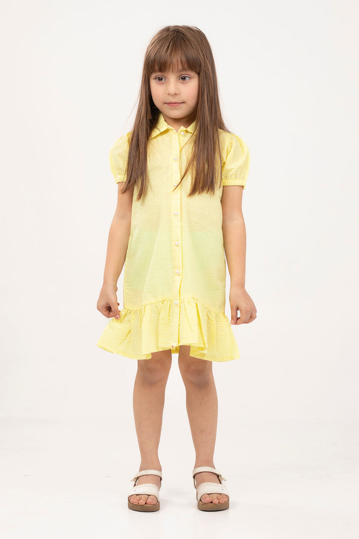 Button Down Dress