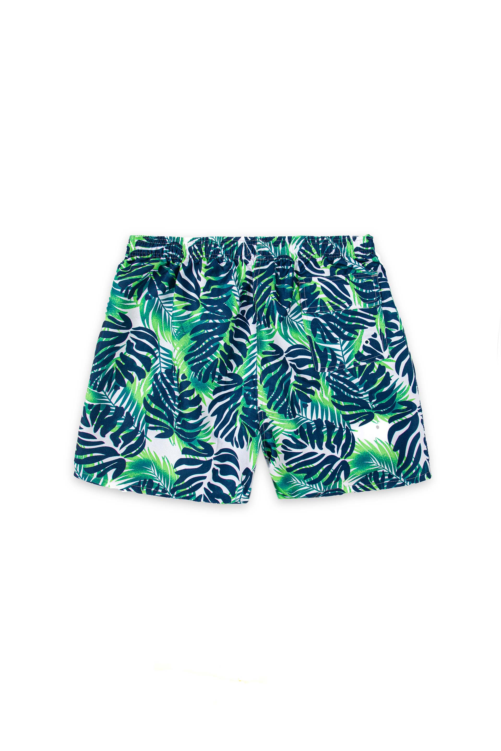 Tropical Swim Shorts Multi