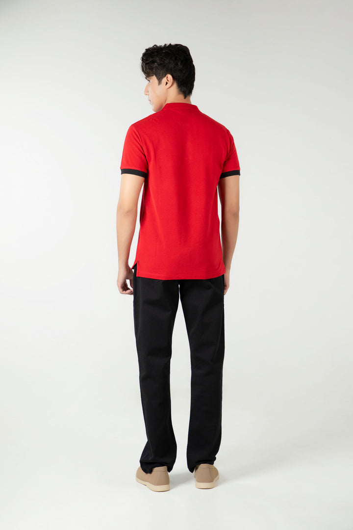 Regular Contrasting Polo